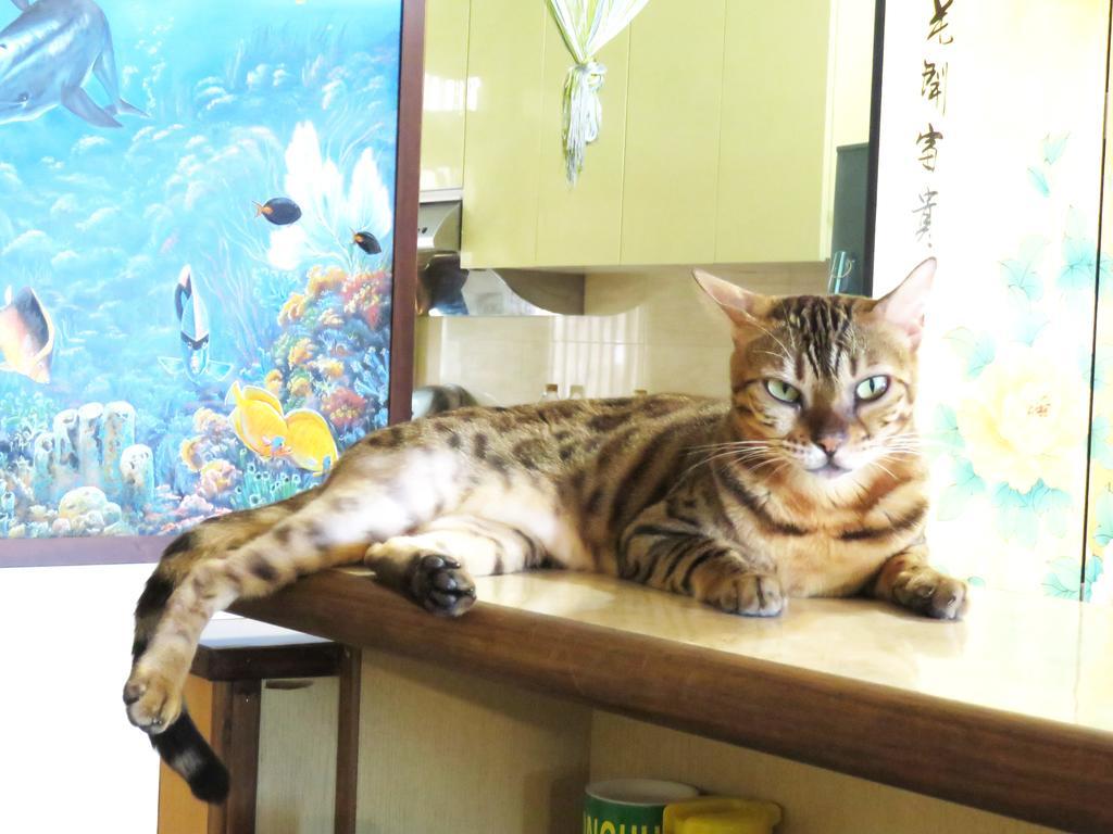 Tou Cheng Whale Watching Homestay Toucheng Exteriér fotografie